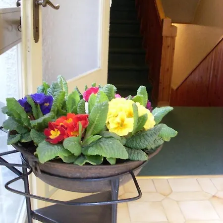 Corona Salsomaggiore Terme