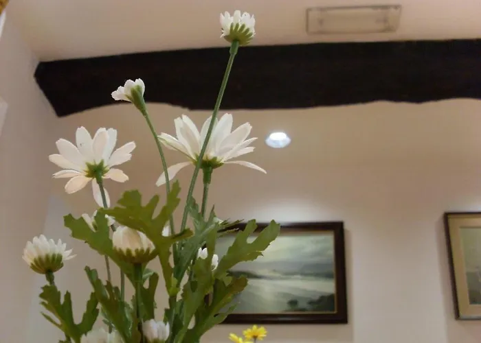 Corona Salsomaggiore Terme