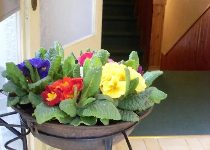 Corona Salsomaggiore Terme